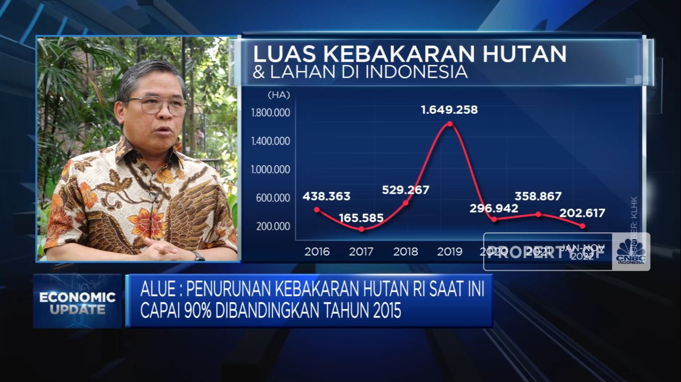 IKN Dikepung  Karhutla Gambut 3 Provinsi, KLHK Siap Antisipasi? (CNBC Indonesia TV)