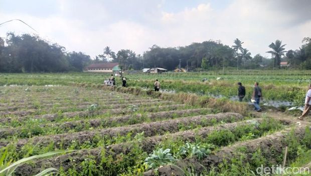 Lokasi yang akan digunakan untuk pemindahan Situs Candi Lumbung di Desa Sengi, Kecamatan Dukun, Magelang, Senin (10/7/2023).