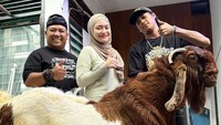 Selain sapi, Nathalie Holscher juga berkurban seekor kambing. Kambing dengan ukuran besar dipilih sebagai hewan kurban lainnya. Foto: Instagram/nathalieholscher