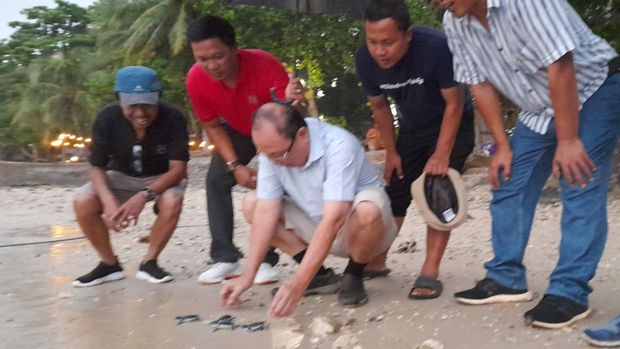 Pelepasan tukik di Pantai Carita
