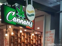 Thailand Bakal Cabut Legalitas Ganja, Industri Rp 16,2 T Terancam
