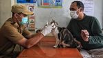 Vaksinasi Rabies Gratis bagi Hewan Peliharaan