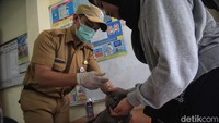 Dokter hewan menyuntikkan vaksin rabies ke hewan peliharaan di Kelurahan Gunung, Kebayoran Baru, Jakarta, Senin (10/7/2023).  
