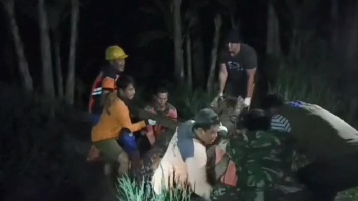 Proses evakuasi jenazah WN Amerika Serikat, Ame Jamie Lou Whalley, yang terjatuh saat susur sawah di Payangan, Gianyar, Bali, Minggu (10/7/2023). Evakuasi berjalan sulit karena turis asing itu berbobot 200 kilogram.