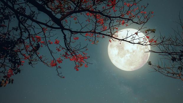 Tanggal 20 Juli memperingati hari apa? Setiap 20 Juli diperingati sebagai Hari Bulan Sedunia atau International Moon Day. Simak sejarah Hari Bulan Sedunia!
