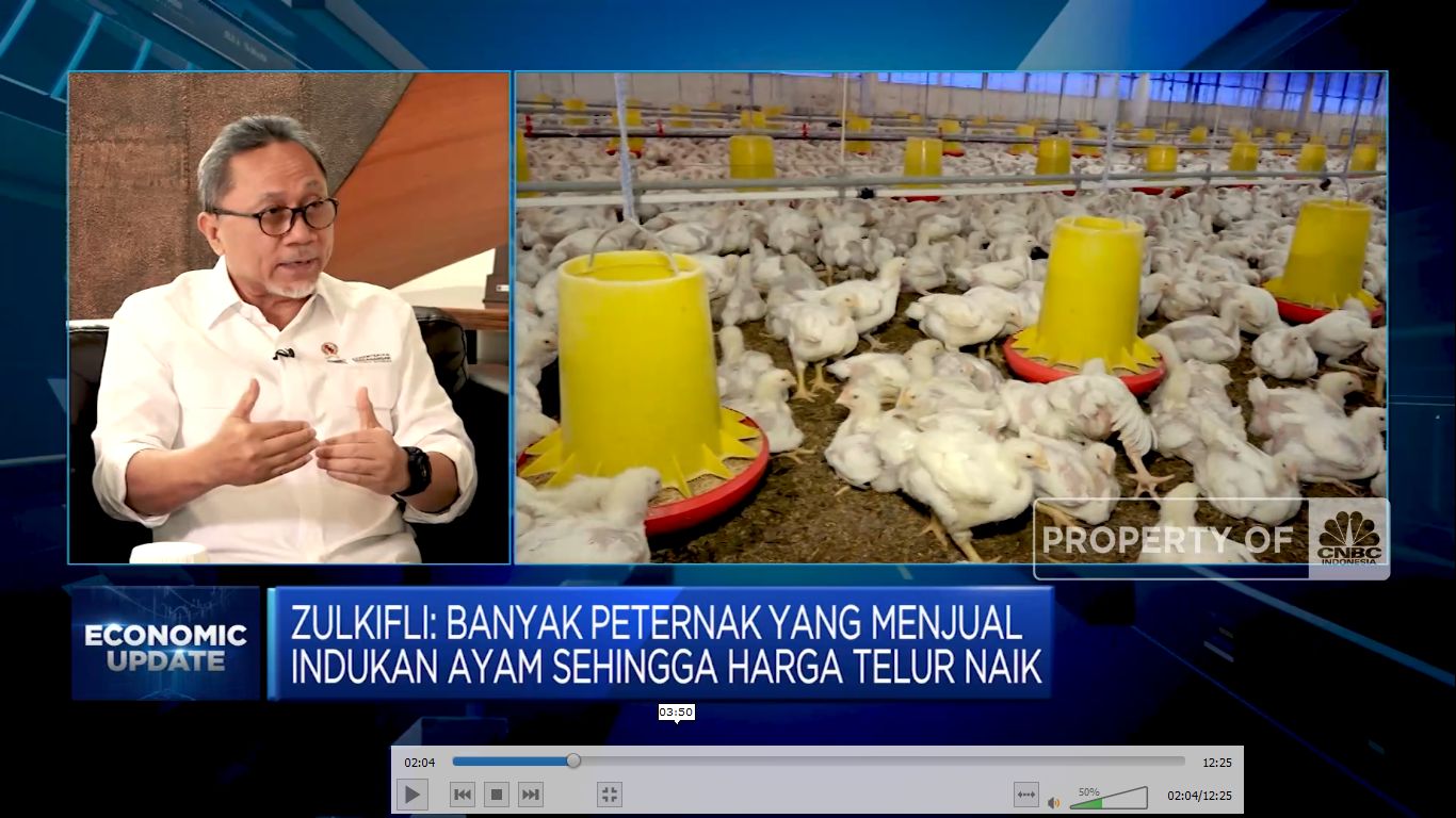 Janji Mendag Zulhas, Harga Daging & Telur Ayam Turun Akhir Juli (վ TV)