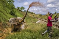 Jawara kontes foto lingkungan