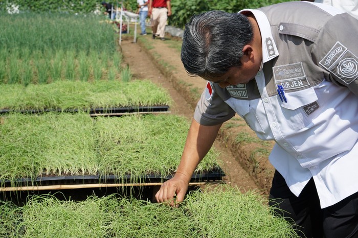 Kementan Dukung  PT East West Seed Genjot Penelitian Benih Unggul