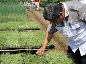 Kementan Dukung  PT East West Seed Genjot Penelitian Benih Unggul