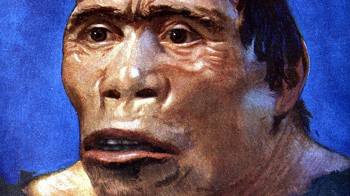 Mengapa Manusia Jawa belum bisa pulang ke Indonesia?