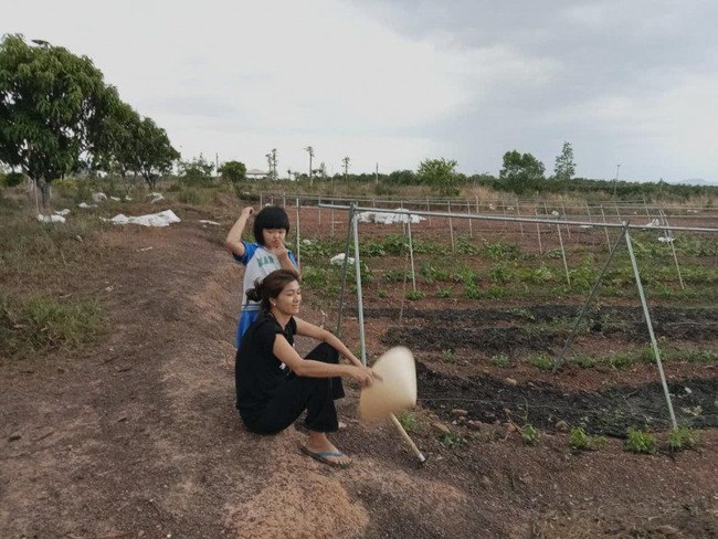 Oanh Yen juga lebih sering tampil casual dengan kaus selama menjadi petani di desa. Dia pernah memamerkan fotonya saat duduk di tanah dan memegang caping. Foto: Dok. Facebook, Instagram Oanh Yen