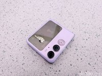 Oppo Find N2 Flip Wimbledon