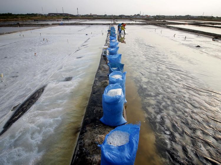 Produksi Garam di Pasuruan Terkendala Cuaca
