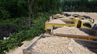 Penimbunan dan pembabatan hutan mangrove untuk keperluan pembangunan tersebut dihentikan oleh Dinas Kehutanan Provinsi Papua, BBKSDA Papua, Gakkum, masyarakat adat dan kepolisian.