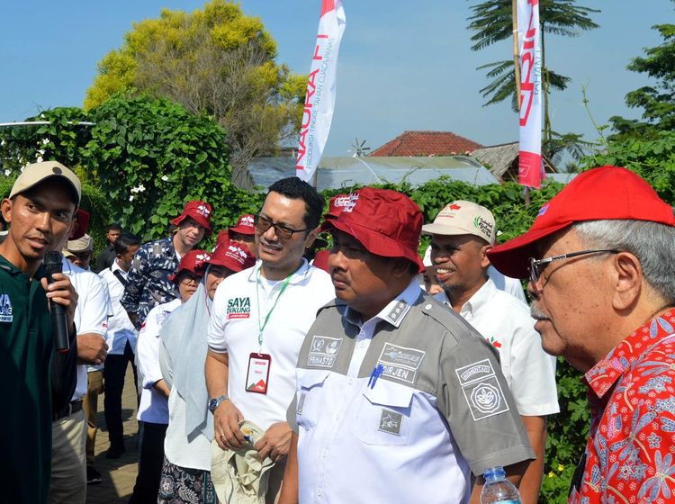 Pembangunan Fasilitas R&D Sayuran Terlengkap