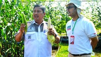 Pada saat yang sama digelar pula Event Nasional Kebun Cap Panah Merah yang diikuti 500 petani dari seluruh Indonesia bertajuk “Pahlawan Pangan Bangsa Berhak #Panen Makmur” dengan arti petani berhak mendapatkan rasa aman pada saat menanam benih sehingga mendapatkan hasil yang optimal untuk menunjang kemakmuran hidup mereka.