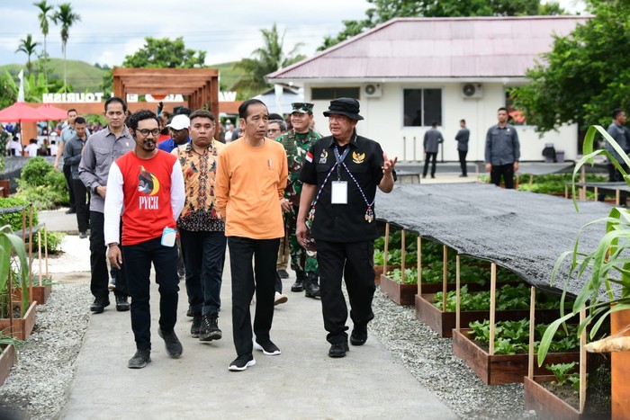 PLN