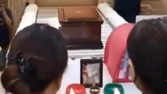 Tangkapan layar viral anjing mati lawan perampok petinya seharga Rp 170 juta.