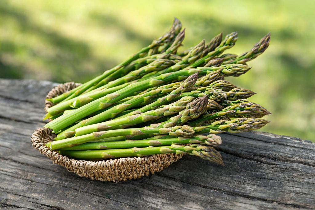 Bule New York Ini Kaget Lihat Mahalnya Harga Sayur dan Telur di Singapura