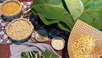 Cara Membuat Tempe Bungkus Daun yang Bisa Dicoba di Rumah