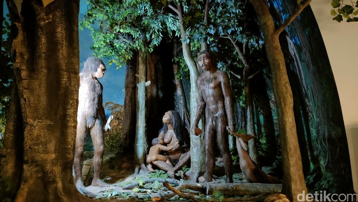 Diorama manusia purba di Museum Sangiran, Sragen, Rabu (12/7/2023).