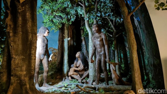 Diorama manusia purba di Museum Sangiran, Sragen, Rabu (12/7/2023).