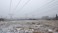 Puseletso Mofokeng, peramal cuaca senior di South African Weather Service (SAWS), mengatakan kepada kantor berita AFP bahwa salju terakhir kali terlihat di kota itu pada 2012, dan sebelumnya tidak pernah sejak 1996. (REUTERS/Siphiwe Sibeko)  