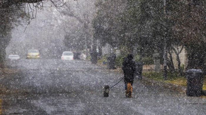 Fenomena Langka Salju Turun di Johannesburg Afsel, Bikin Warga Heboh A man walks his dogs during a snow storm, in Johannesburg, South Africa, Monday, July 10, 2023. Temperatures dropped to sub-zero as a rare cold front hit Johannesburg. (AP Photo/Jerome Delay)