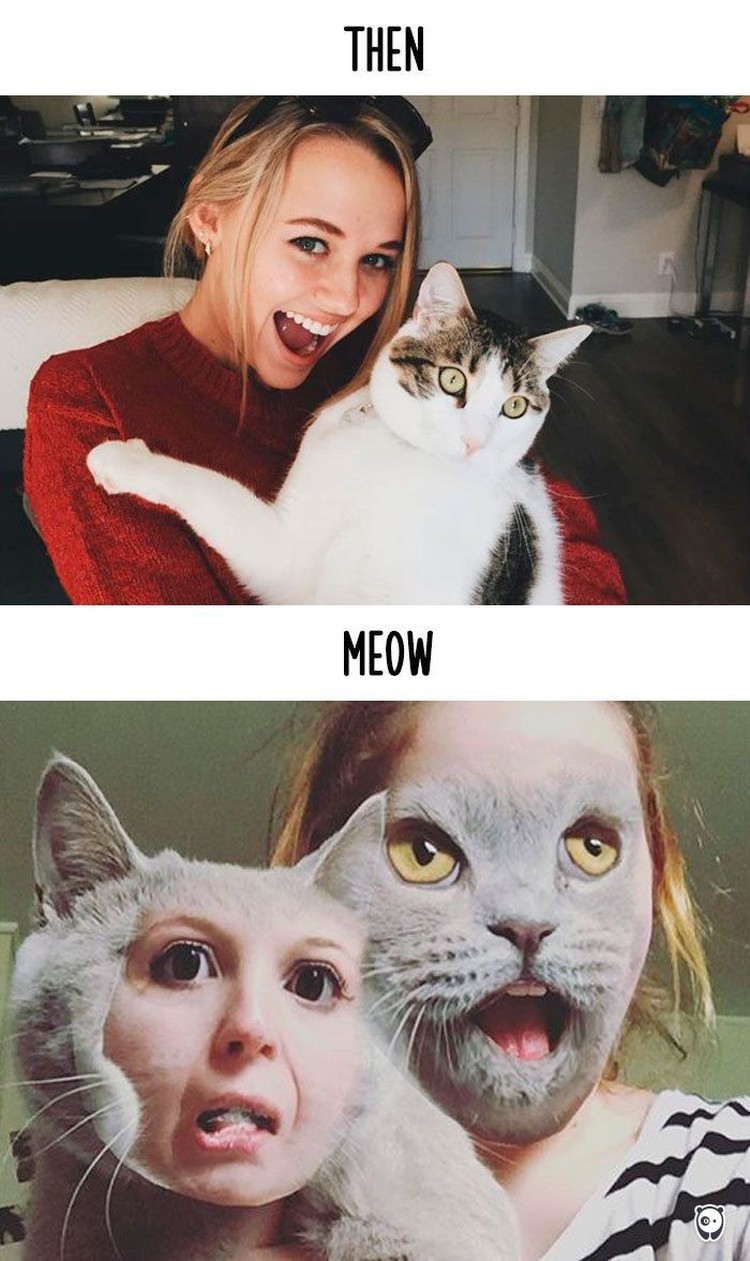fotoinet kucing dulu dan sekarang