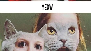 Dulu hasil foto bareng kucing dan manusia biasa-biasa saja. Kalau kocheng dan hooman zaman now pakai face swap! (Foto: Boredpanda.com)