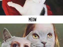 Foto Beda Kelakuan Kucing Jadul dan Kekinian