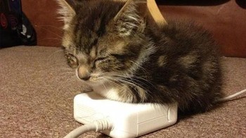 Kalau dulu cari pemanas ruangan untuk menghangatkan badan, sekarang cukup di badan charger. (Foto: Boredpanda.com)