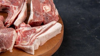 Misteri Hujan 'Daging' di Siang Bolong Terpecahkan