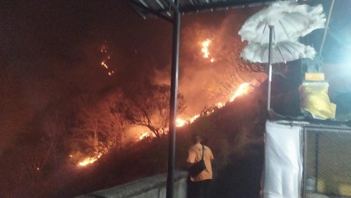 Kebakaran hutan dan lahan terjadi di Desa Pemuteran, Gerokgak, Buleleng, Selasa (11/7/2023). Sekitar 25 hektare (Ha) lahan ludes dilalap api.