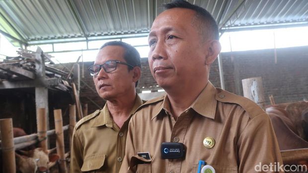 Kepala Dinas Ketahanan Pangan dan Pertanian (DKPP) Kabupaten Bantul Joko Waluyo.