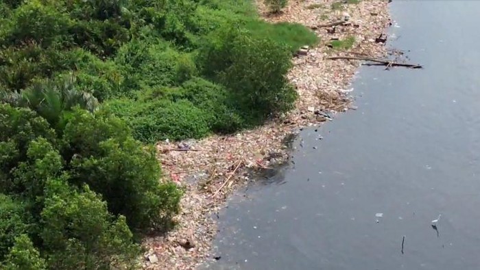 Kondisi pesisir di hutan mangrove Muara Angke, Penjaringan, Jakarta Utara pada Senin (10/7/2023). (ANTARA/HO-Jurnalis Jakarta Utara)
