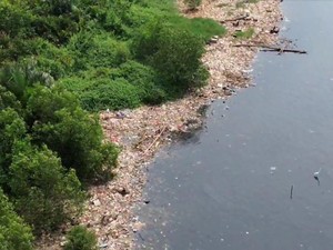 Kapolda Metro Kerahkan Pasukan Bersihkan Sampah di Hutan Mangrove Jakut