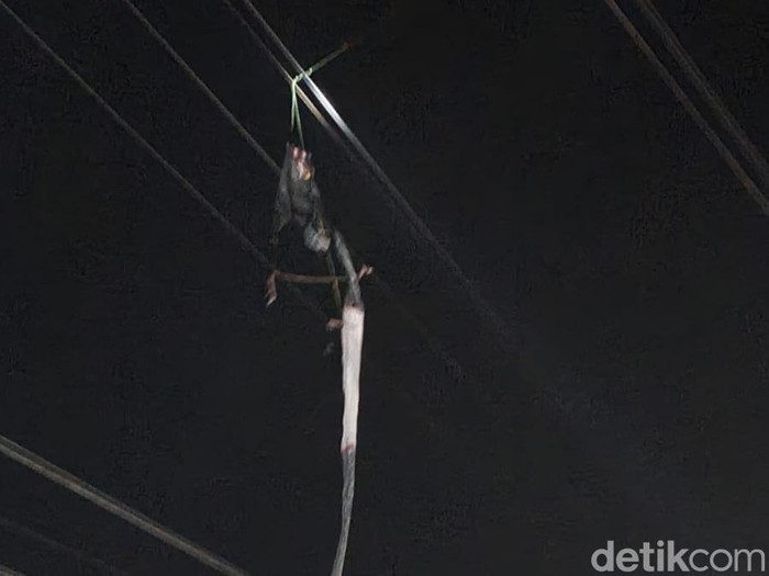 layangan gapangan nyangkut di kabel PLN
