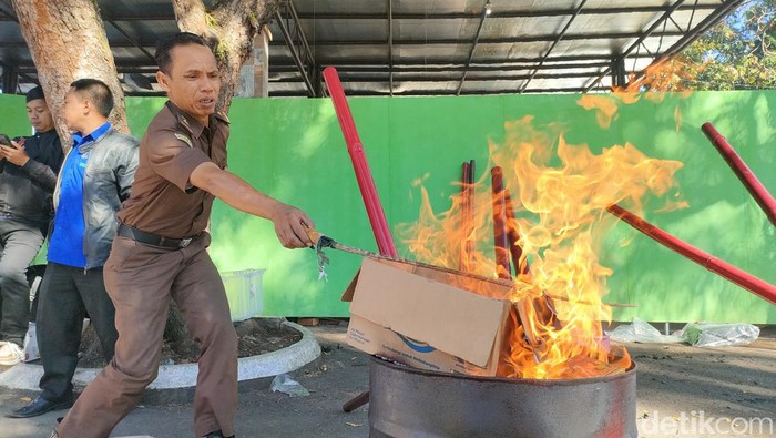 penampakan ekor ikan pari dimusnahkan