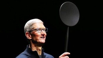 Ini alat pemukul lalat, bila berminat harganya USD 100. Foto: Reddit/AdStraAtreyu