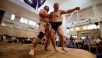 Unik, Resto Jepang Ini Tawarkan Santap Makan Sambil Nonton Sumo