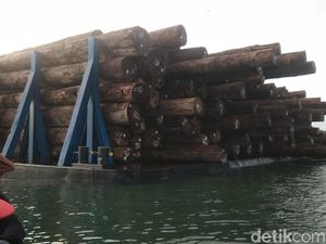 Warga Mentawai Hadang Kapal Ponton Pengangkut 3.000 Kubik Kayu
