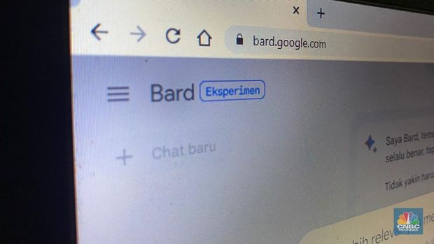 Bard Google (CNBC Indonesia/novina)