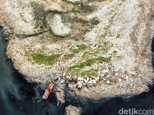 ⁠Terungkap Penyebab Kemunculan Pulau Sampah di Pesisir Laut Jakarta