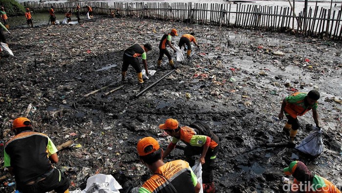 Sejumlah petugas gabungan membersihkan sampah di Taman Mangrove Muara Angke, Jakarta Utara, Kamis (13/7/2023).