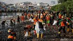 Petugas Gabungan Gerebek Sampah di Hutan Mangrove Muara Angke