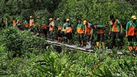 Petugas gabungan berjibaku membersihkan sampah di hutan mangrove tersebut.  