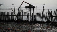 Sebelumnya DLH DKI juga telah melakukan pembersihan sampah di hutan mangrove Muara Angke, Rabu (12/7) kemarin. Sebanyak 48 kubik sampah diangkut dari lokasi.  
