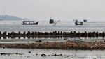 Petugas Gabungan Gerebek Sampah di Hutan Mangrove Muara Angke