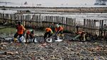 Petugas Gabungan Gerebek Sampah di Hutan Mangrove Muara Angke